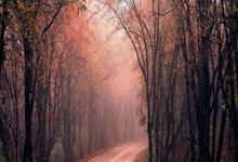 雷火电竞入口-圣西罗惊雷！AC米兰遭勇士重创，意甲王座暗战升级