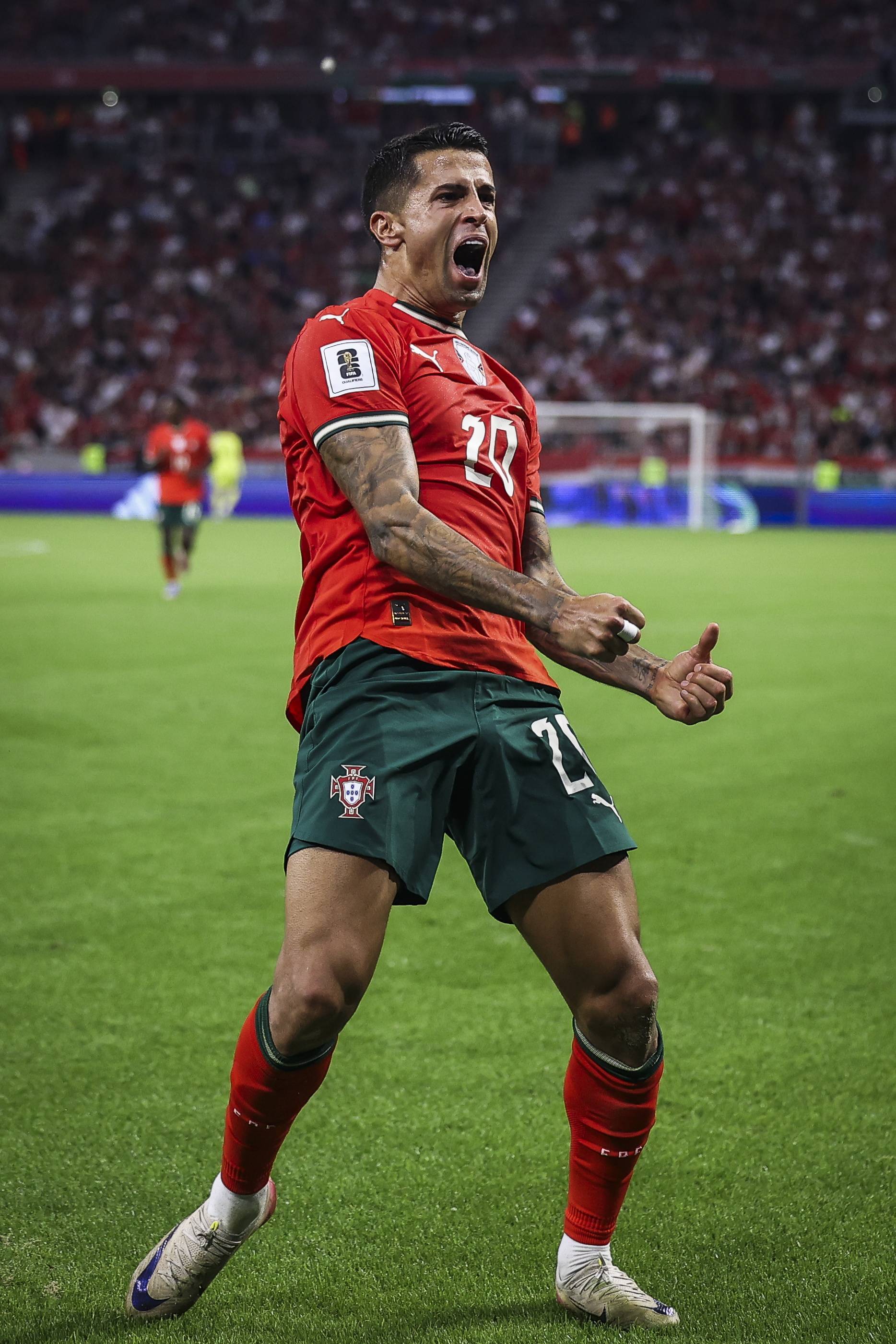 葡萄牙-击败匈牙利，晋级欧锦赛四强