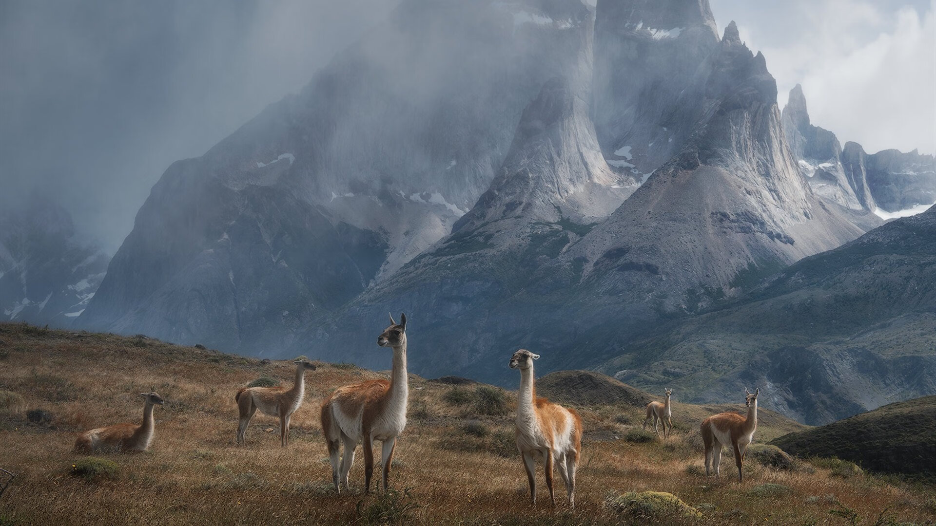 跨界奇兵，武切维奇助雷霆神话完胜雄鹿