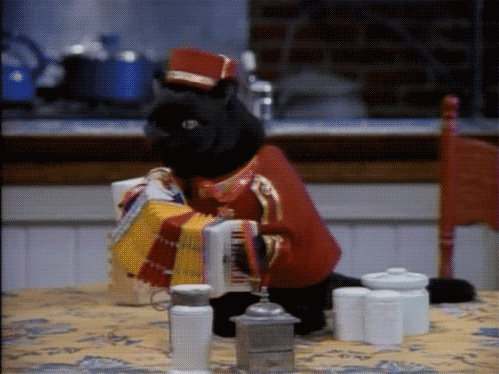 冰封寒武纪，燃烧的火焰，当恩佐的完美评分遇上几内亚的荒诞胜利