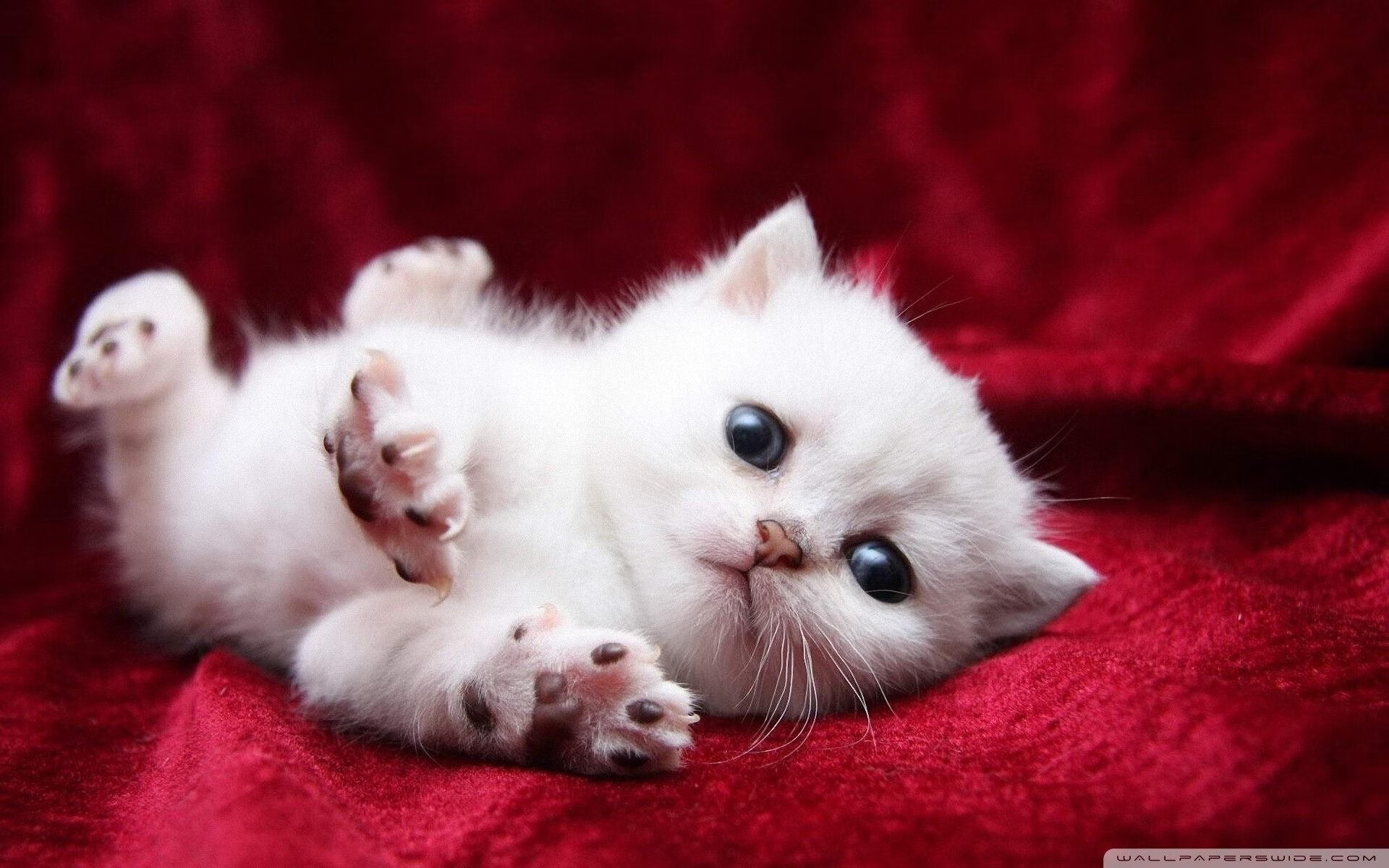 雷火电竞-曼联的铁幕落下，黄喜灿在寂静中接管了英格兰