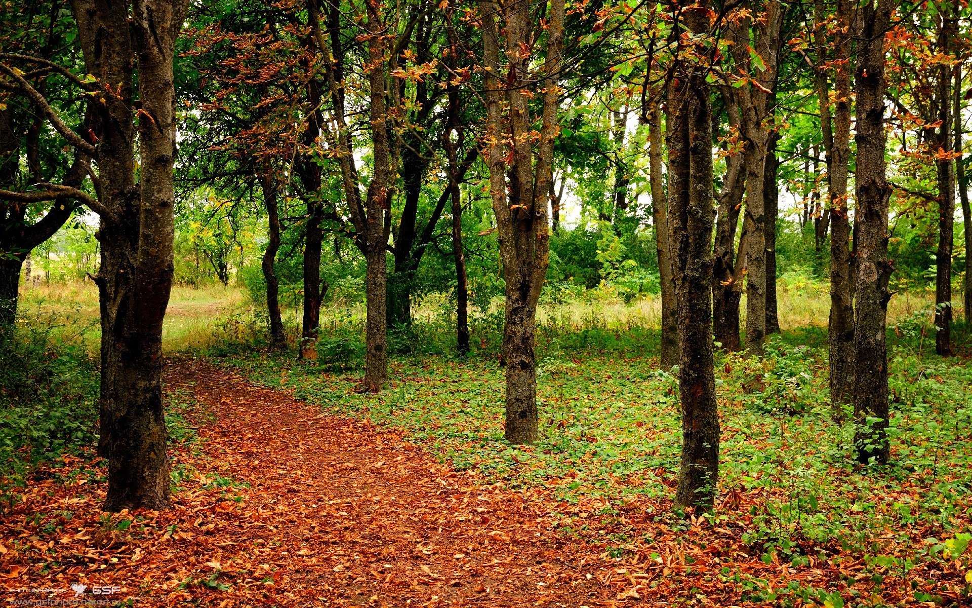 曼联的铁幕落下，黄喜灿在寂静中接管了英格兰