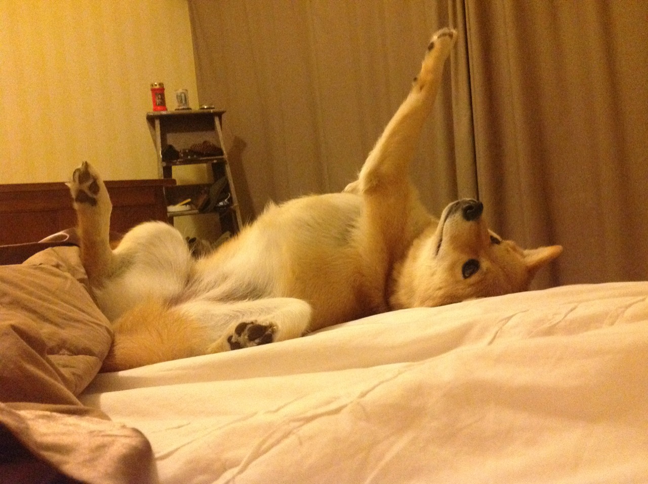 高原魔咒降临路易二世，玻利维亚神秘末节逆转摩纳哥