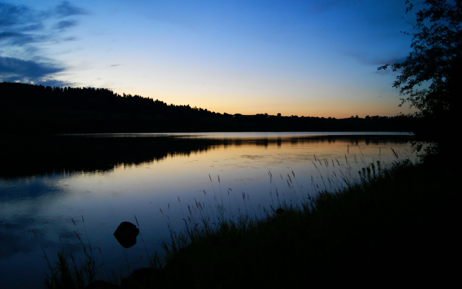 雷火电竞亚洲先驱-迪亚斯孤影破铁幕，当黄黑军团遭遇波斯铁骑，一个外援扛起的不只是足球