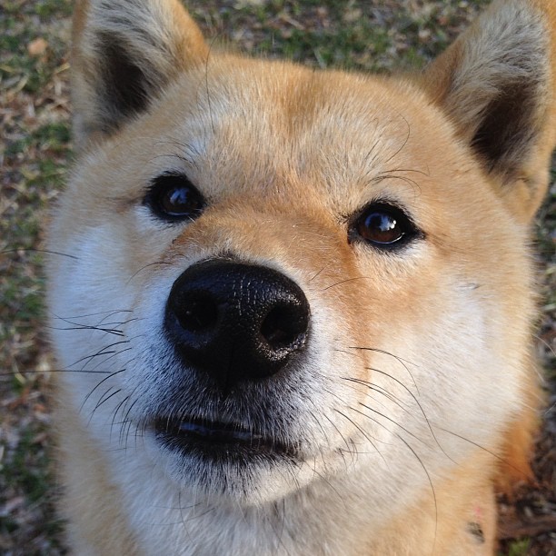 他用七记三分完成一场公开谋杀，索命镰刀在年度焦点之夜缓缓落下