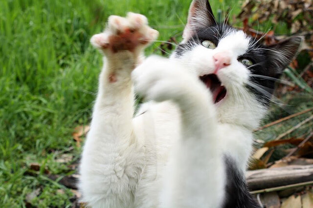 从直布罗陀到绿茵场,西班牙如何用数据镰刀收割摩洛哥,托尼时代悄然降临