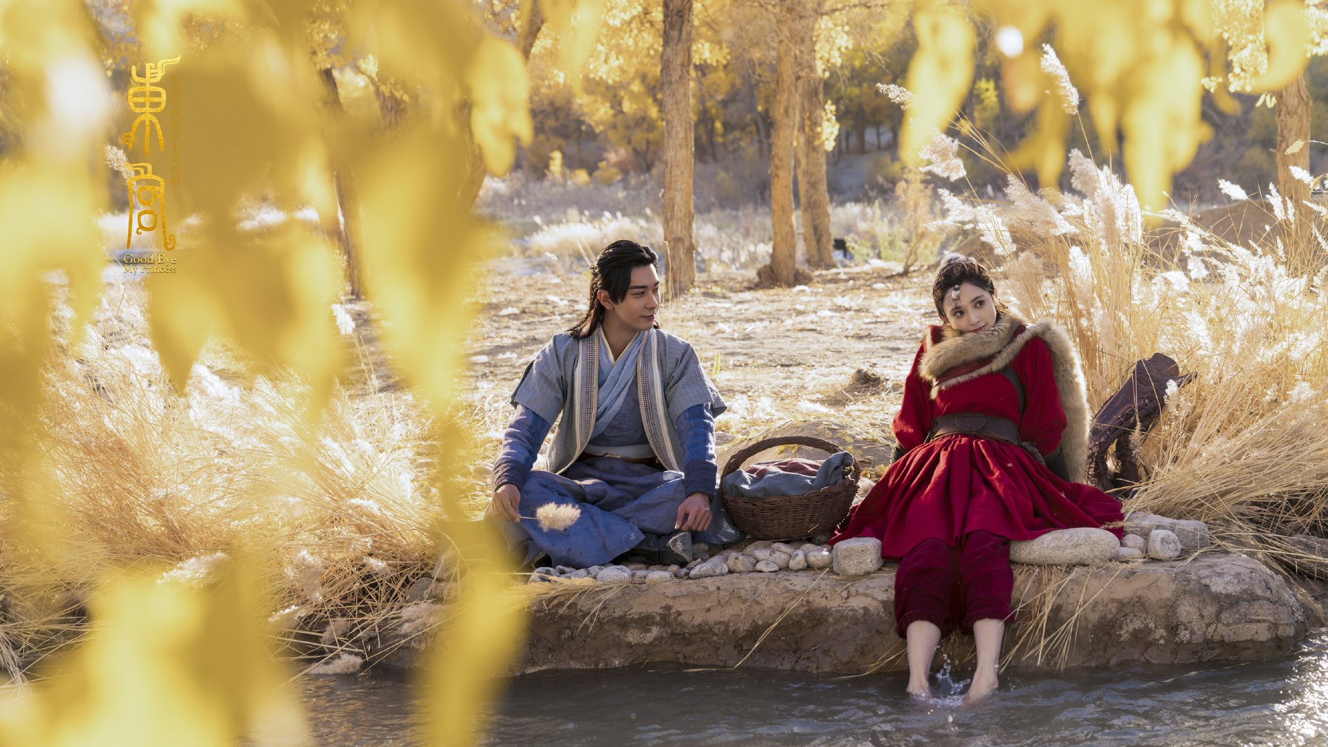 兹拉坦降临,德甲争冠夜,伊布铸就传奇生涯之战