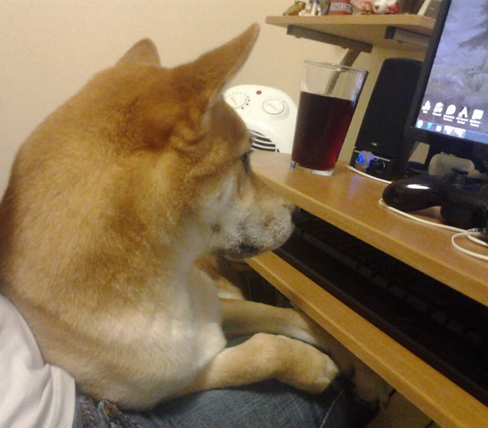 雷火电竞简介-爆冷日！当上海掀翻黄蜂时，德甲正上演史诗级天王山