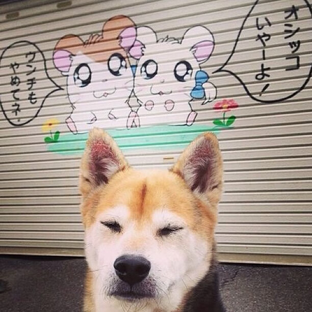 雷火电竞简介-辽宁斩魔术的最后一剑，布克的沉默与冠军球队的暗流